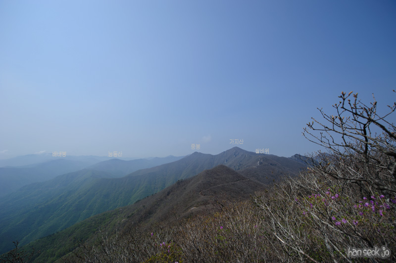 HSJ_9420.jpg