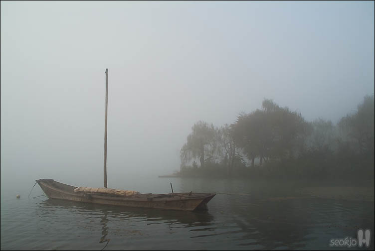 DSCF4705.jpg