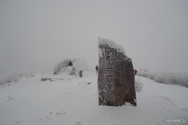 HSJ_7349.jpg