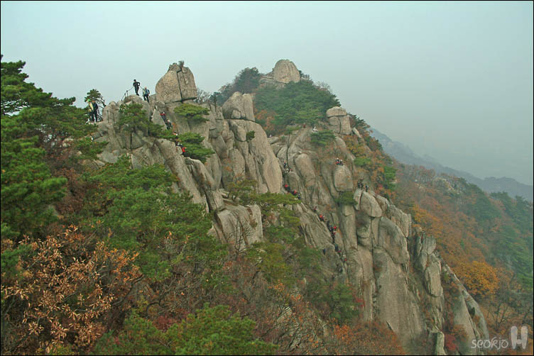 DSCF4730.jpg