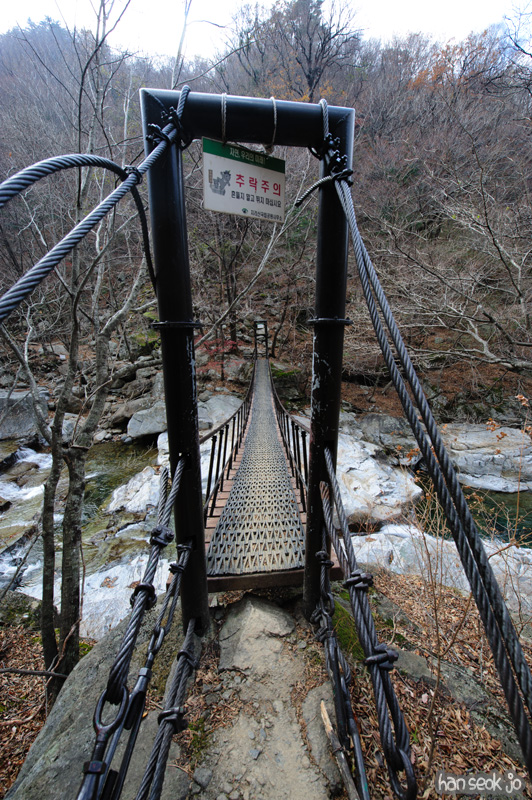 HSJ_6188.jpg
