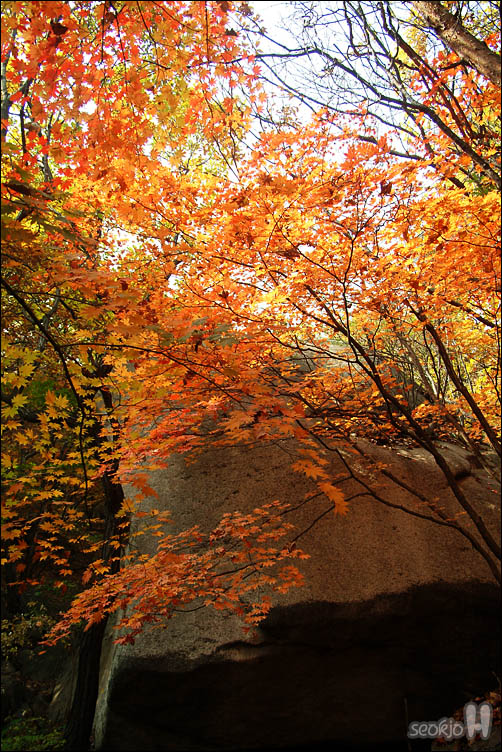 DSCF4716.jpg