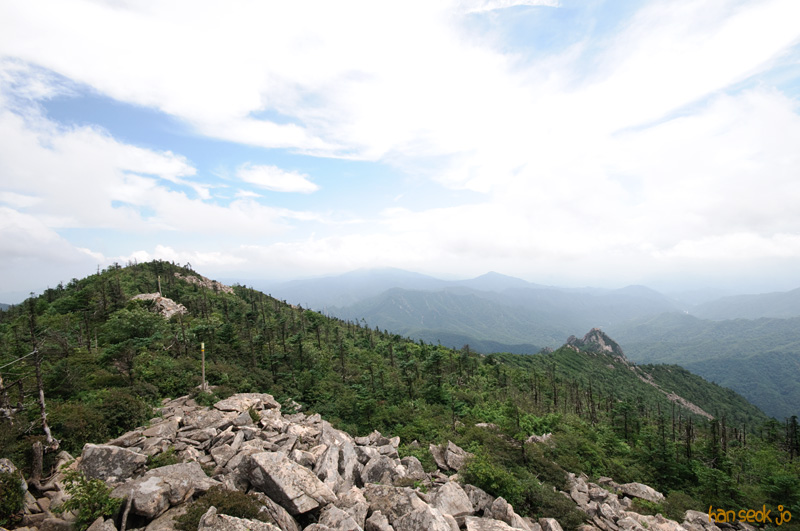 DSC_7825.jpg
