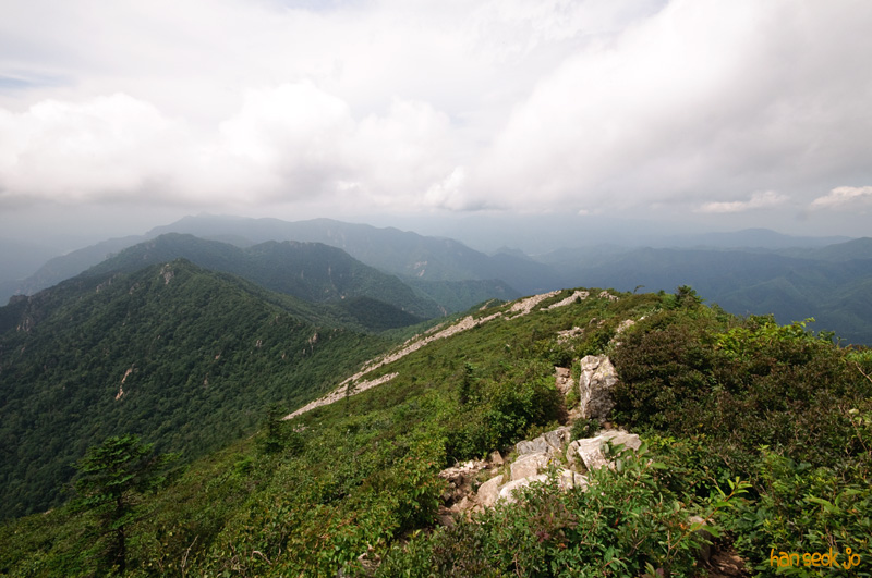 DSC_7830.jpg