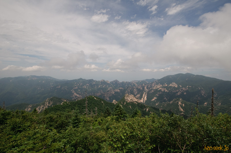 DSC_7833.jpg