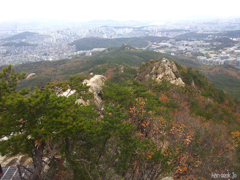 20121104a.jpg