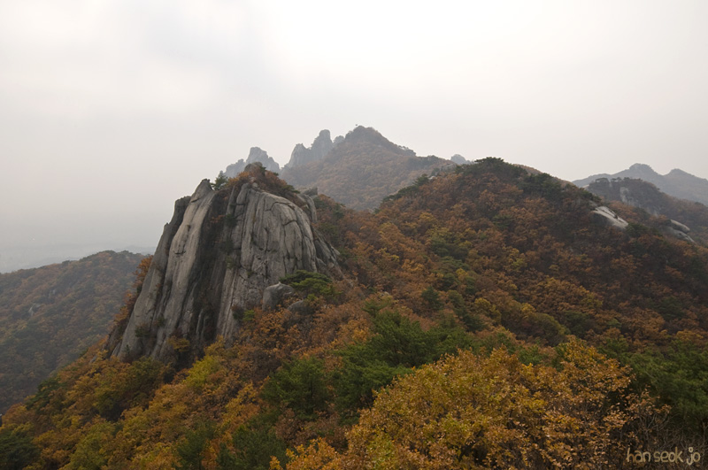 DSC_4417.jpg