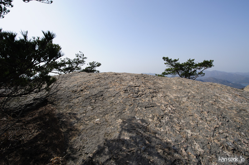 HSJ_8414.jpg