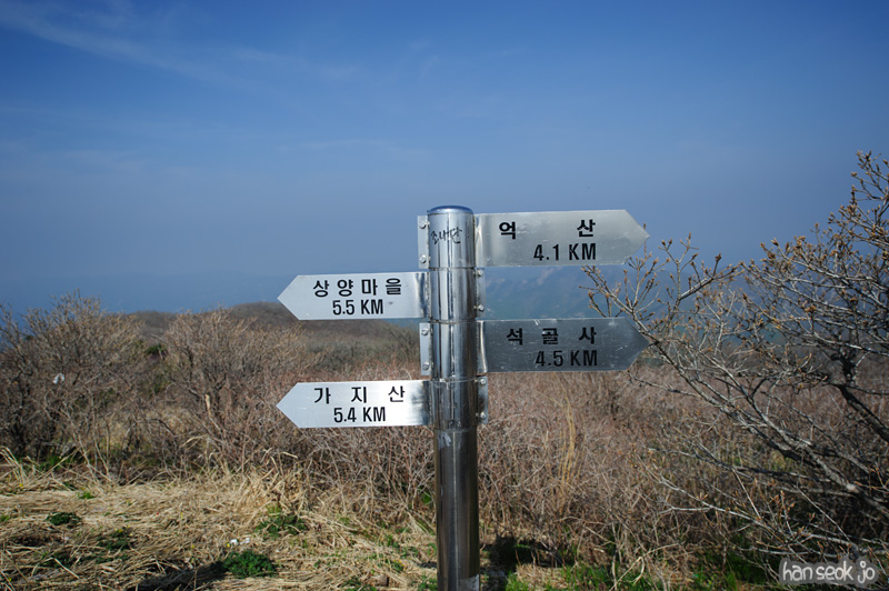 HSJ_9516.jpg