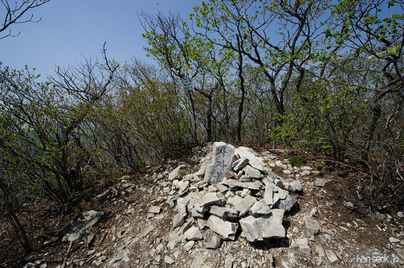 HSJ_9540.jpg