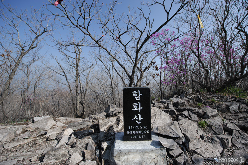 HSJ_9513.jpg