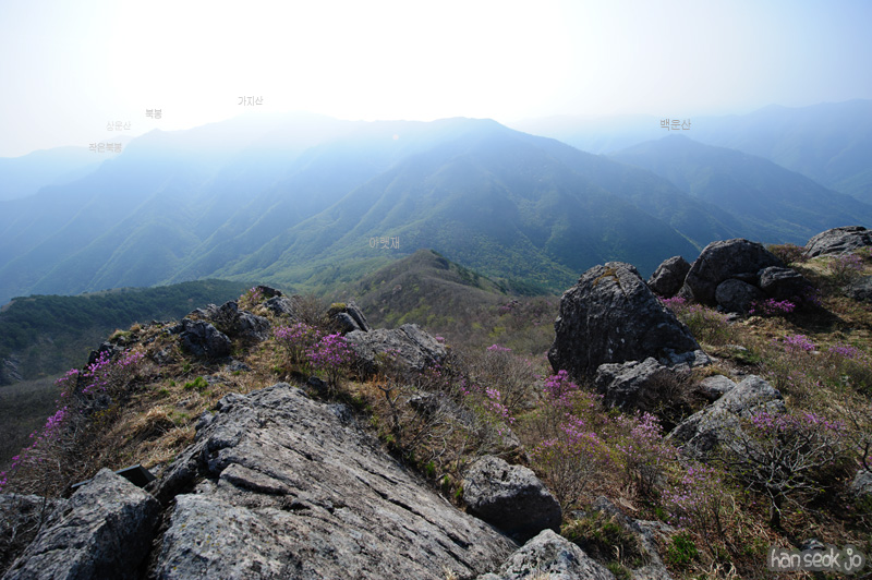 HSJ_9507.jpg