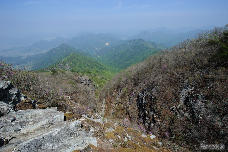 HSJ_9529.jpg