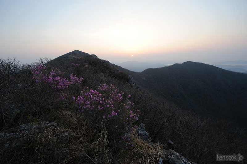 HSJ_9488.jpg