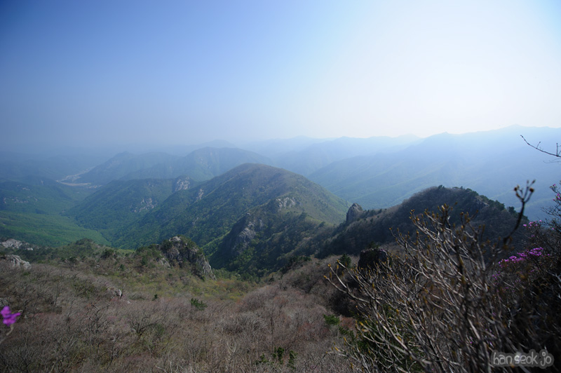 HSJ_9518.jpg
