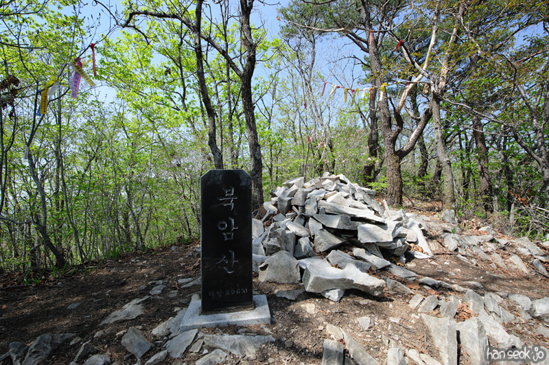 HSJ_9552.jpg
