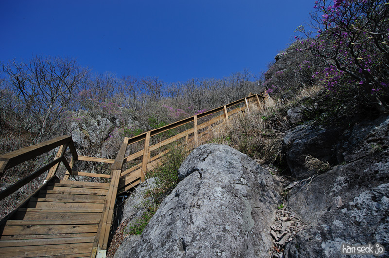 HSJ_9508.jpg