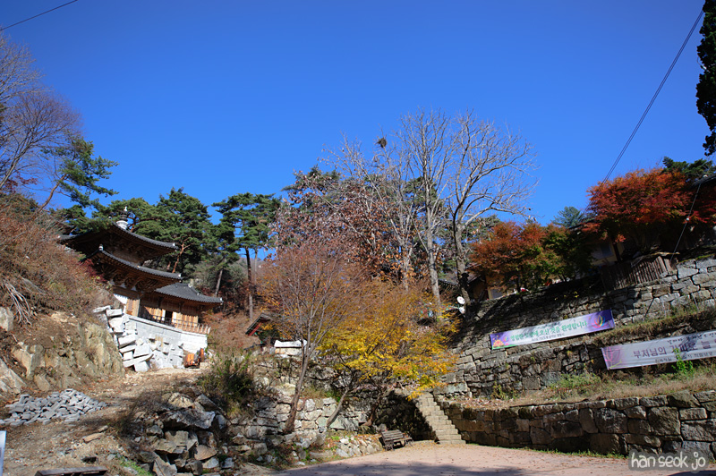 HSJ_6277.jpg
