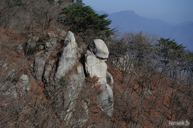 HSJ_6270.jpg