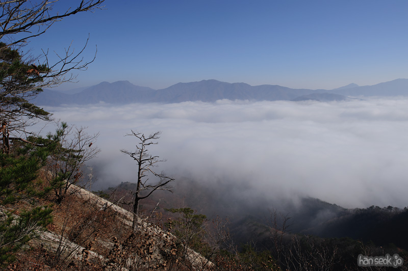HSJ_6220.jpg