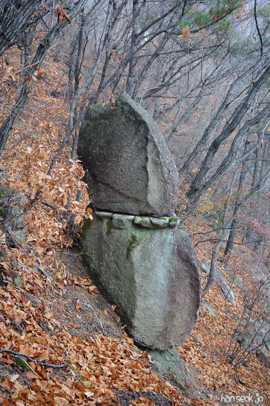 HSJ_6192.jpg