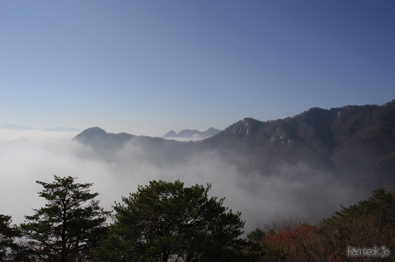 HSJ_6197.jpg