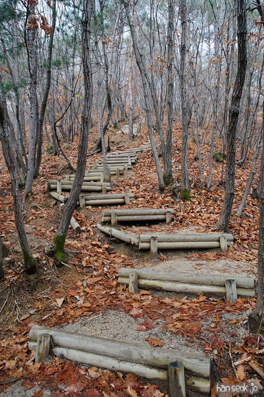 HSJ_6191.jpg