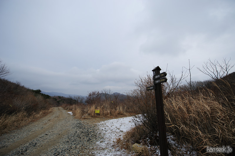 HSJ_6560.jpg