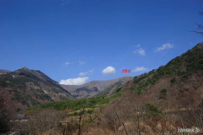 HSJ_6625.jpg