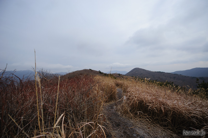 HSJ_6552.jpg