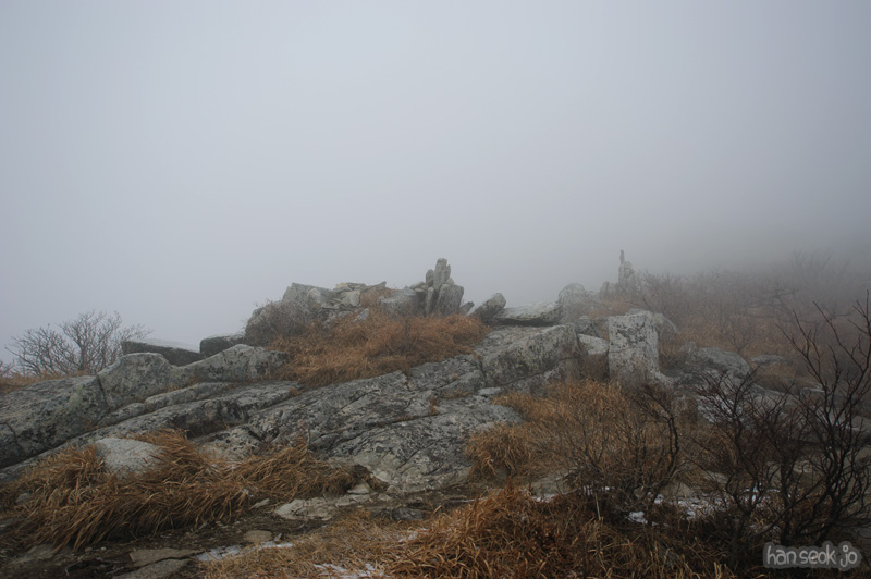 HSJ_6577.jpg