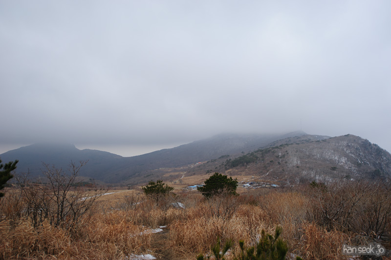HSJ_6567.jpg