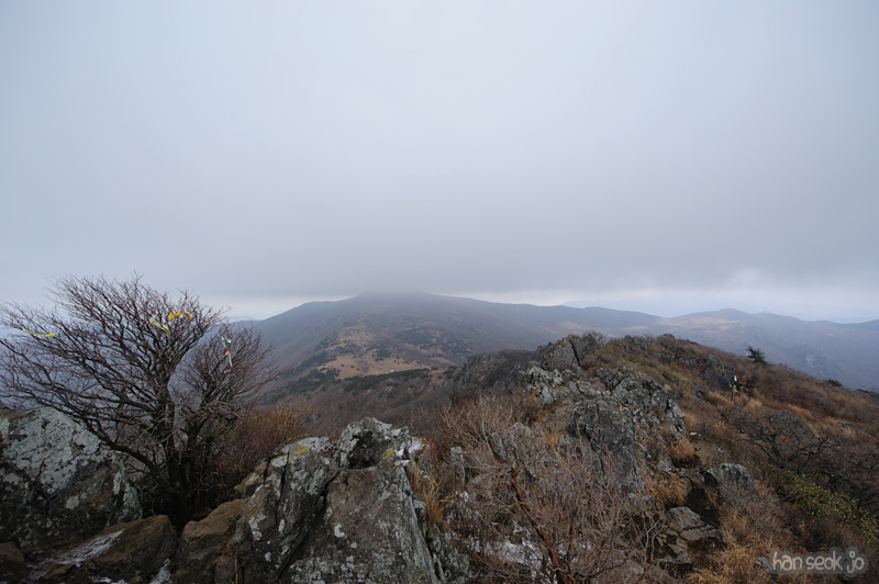 HSJ_6610.jpg