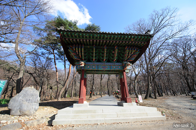 HSJ_6630.jpg