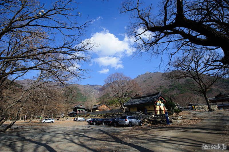 HSJ_6629.jpg
