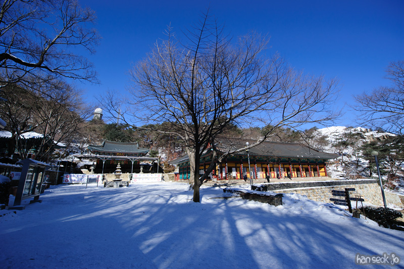 HSJ_7521.jpg