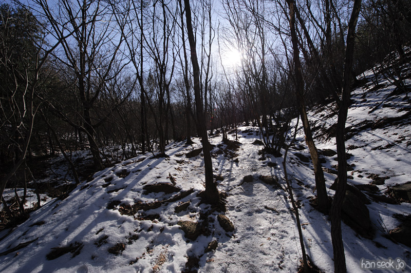 HSJ_7489.jpg