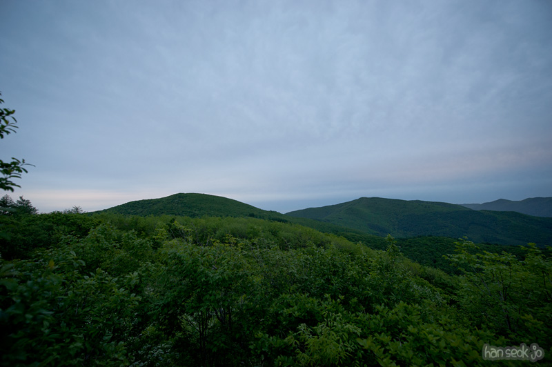 HSJ_0084.jpg