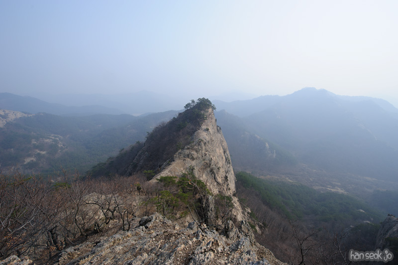 HSJ_8358.jpg