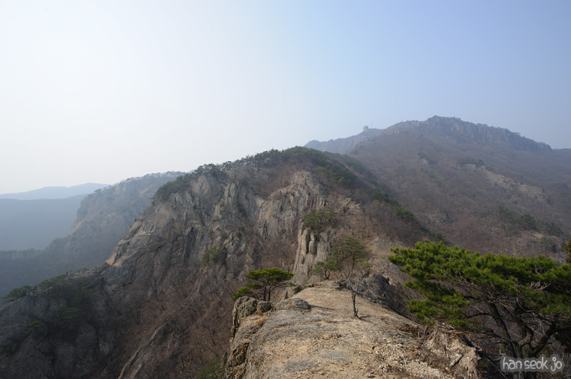 HSJ_8356.jpg