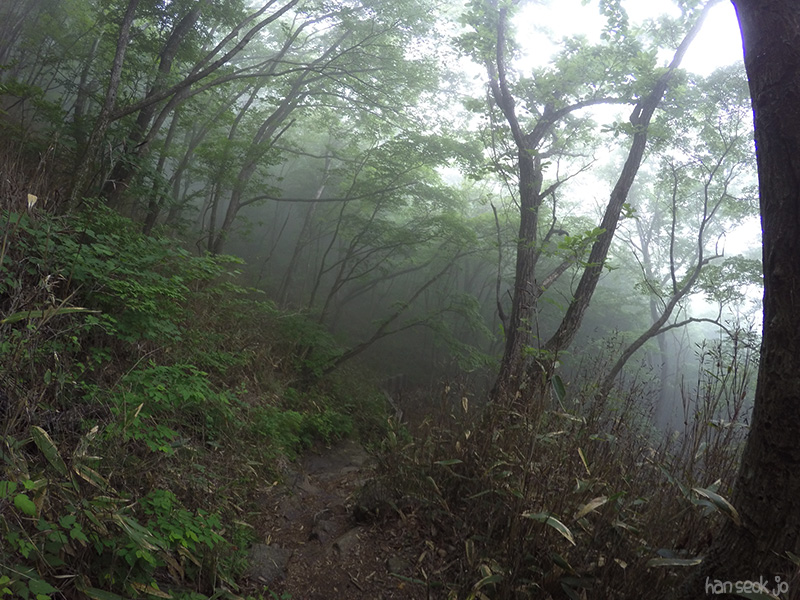GOPR2186.jpg