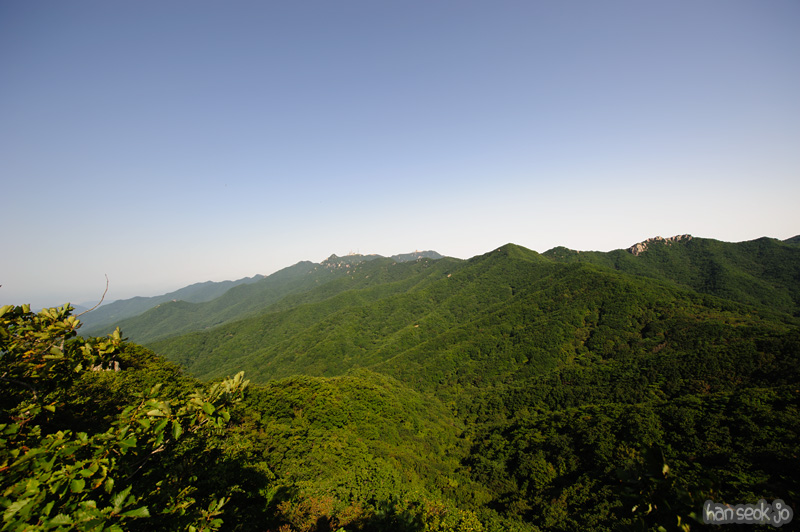 HSJ_1180.jpg