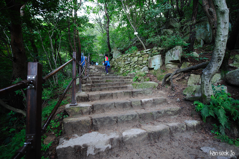 HSJ_1152.jpg