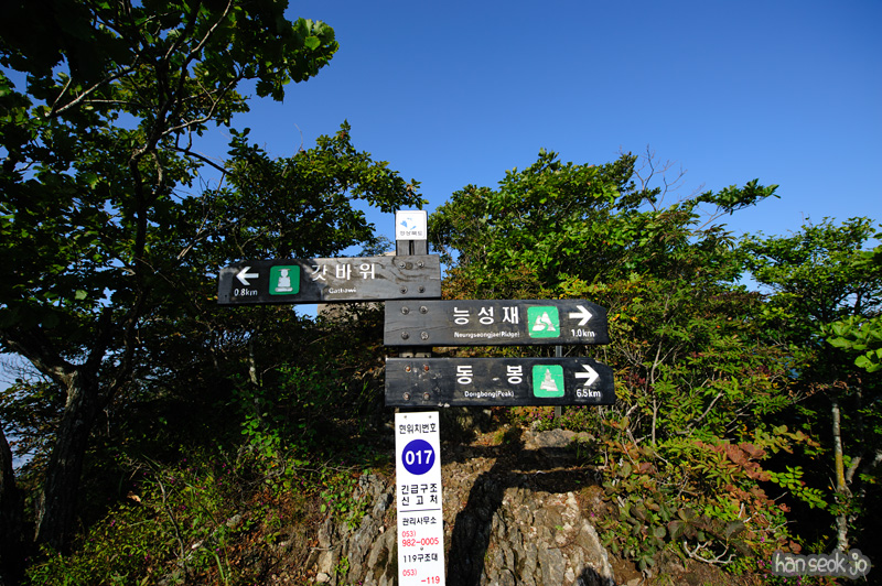 HSJ_1168.jpg