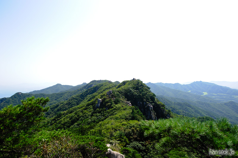 HSJ_1183.jpg