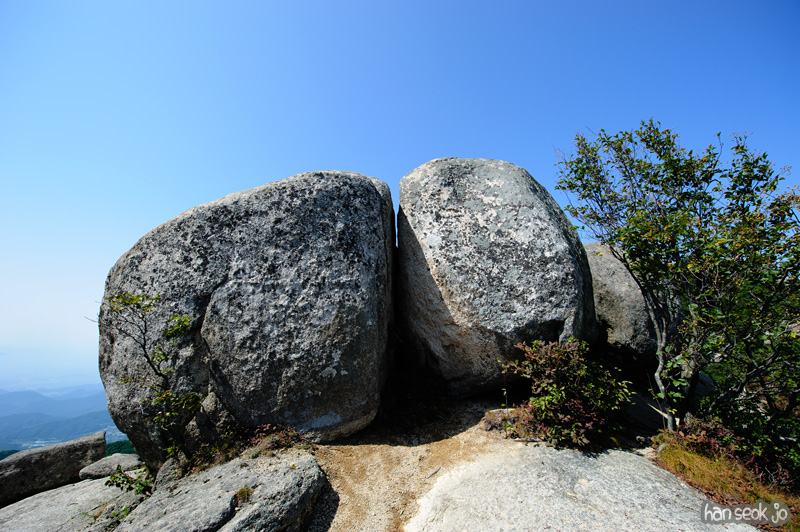HSJ_1184.jpg