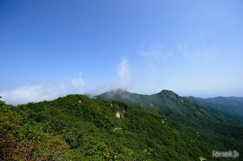 HSJ_1202.jpg