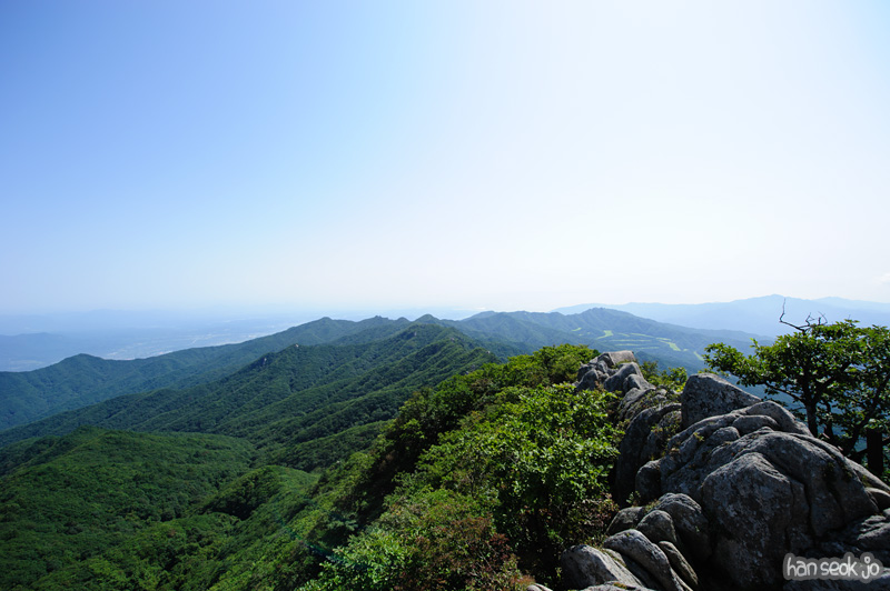 HSJ_1188.jpg