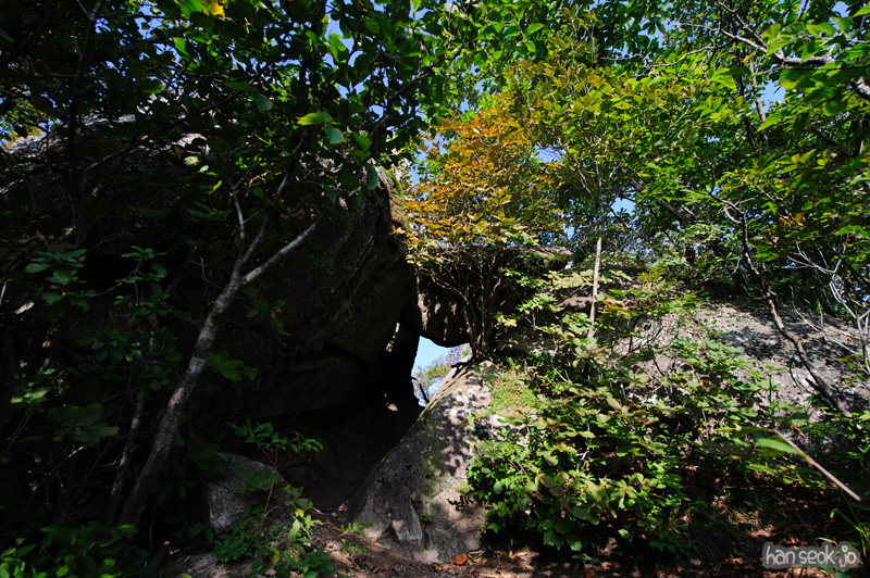 HSJ_1163.jpg