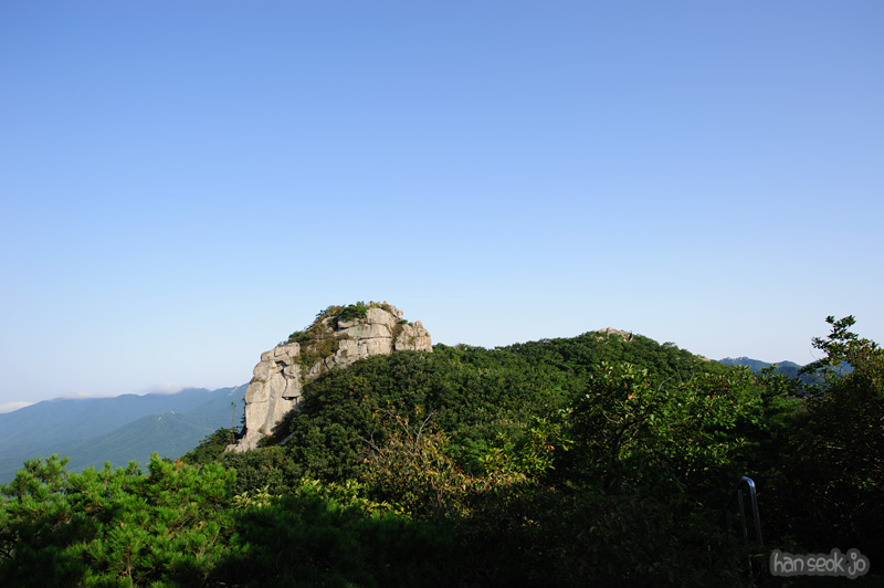 HSJ_1158.jpg